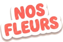 Nos fleurs